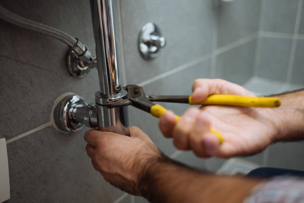 Best Septic Systems  in Lady Lake, FL