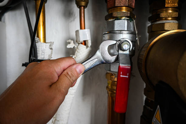 Best Sprinkler Systems  in Lady Lake, FL